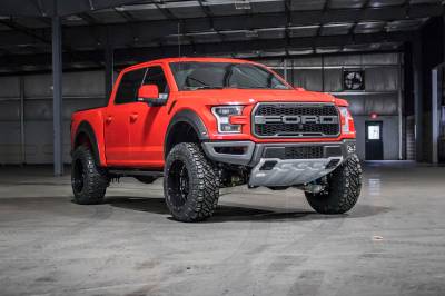 BDS - BDS 4 Inch Lift Kit w/4" Rear Block Kit for Ford F150 Raptor (19-20) 4WD (1963H)